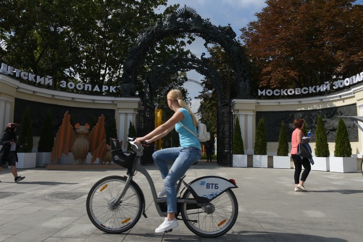 Обновленный Детский зоопарк