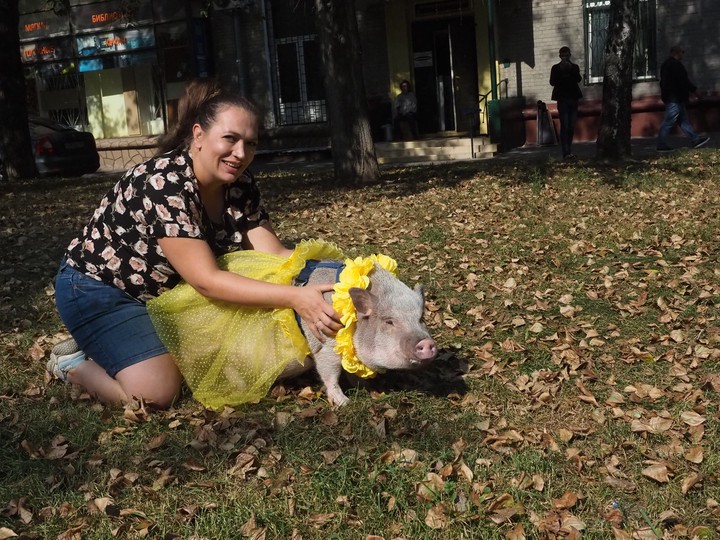 Москвичка Вера Барвинская со своим мини-пигом по кличке Брунгильда
