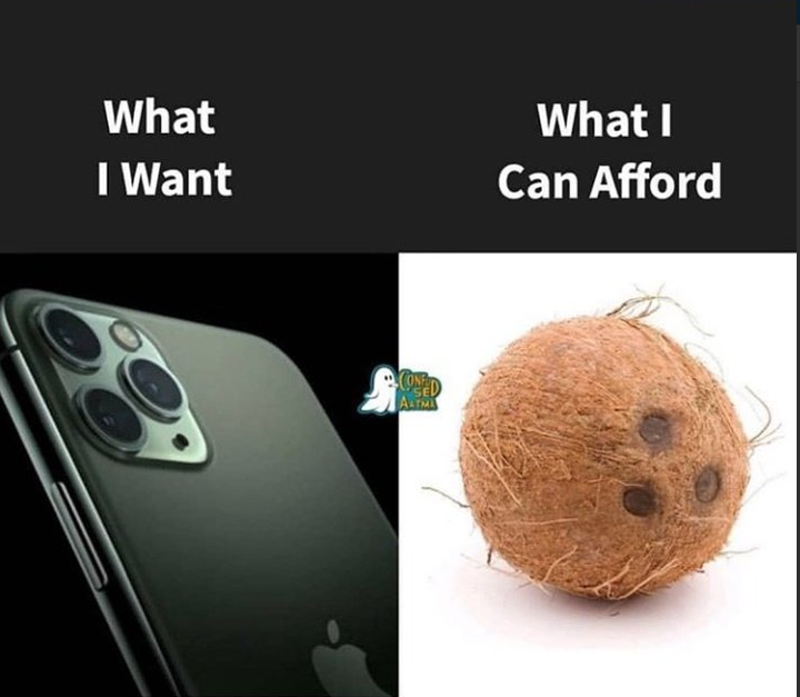 Сковородка или кокос: как пользователи соцсетей отреагировали на новый iPhone 