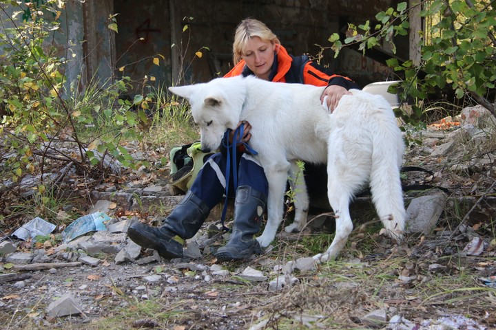 На фото: Юлия Тихонова и пес Адам 