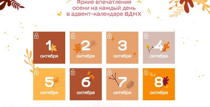 Москвичи смогут составить маршрут по ВДНХ с помощью адвент-календаря