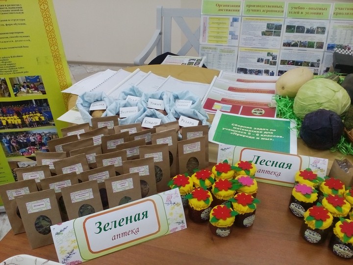 Программа финала предусматривала защиту проектов с демонстрацией практических результатов