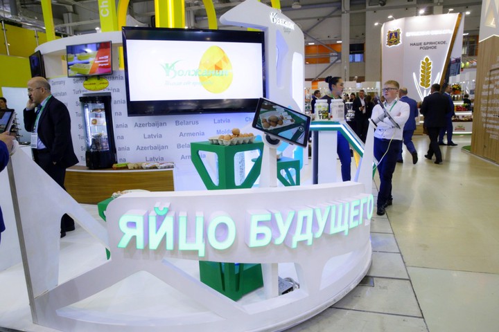  «Яйцо будущего» представили на выставке «Золотая осень»