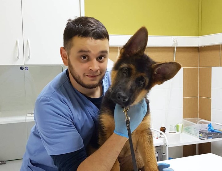 Челябинцы пожаловались на врача, спасающего животных вместо усыпления