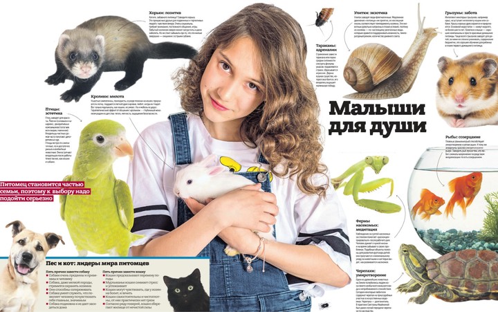 Ветеринар рассказала, кому нужно заводить дома тараканов, улиток и черепах