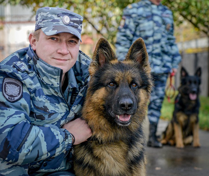 Кинолог Руслан Межевав в успехе своей работы уверен, ведь на службе ему помогает четвероногий напарник Честер