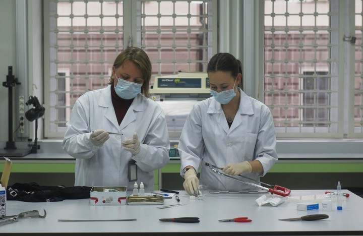 Специалисты проводят в лаборатории генетическую экспертизу