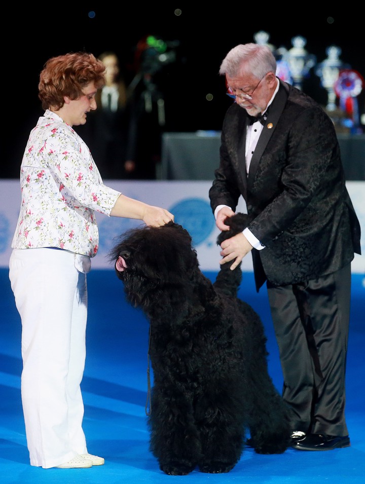 Евгений Ерусалимский на выставке World Dog Show с Евгенией Зайцевой и ее русским черным терьером