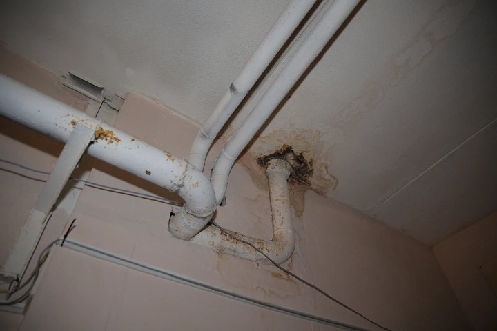 Столичный метрополитен отремонтирует здание «Цирка чудес» в Кунцеве