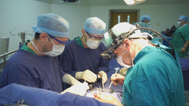 Лео Бокерия делает до шести операций в день 