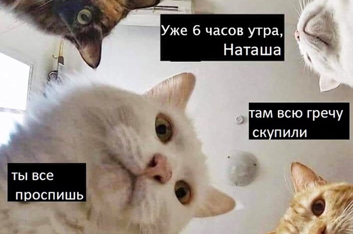 «Наташа, там всю гречу скупили»: пользователи Сети высмеивают коронавирус
