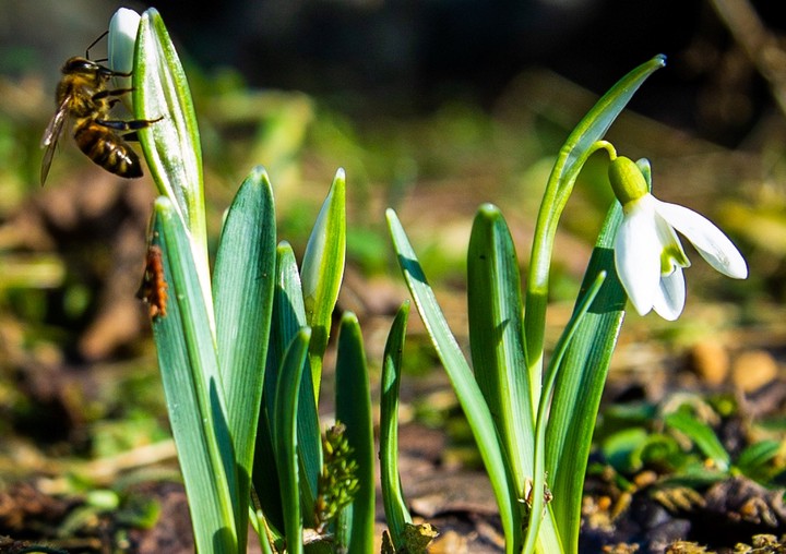 Столичные парки пригласили москвичей на весенние экскурсии и мастер-классы