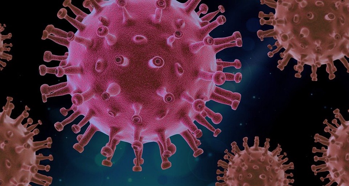 Иммунолог Ярцева перечислила вирусы, которые могут распространяться даже после смерти человека