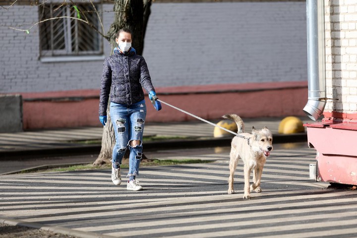 Более 4 тысяч часов провели столичные волонтеры на прогулках с собаками