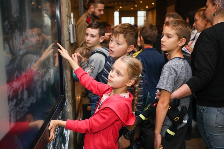 Более 25 тысяч школьников посетили Музей Победы во время олимпиады «Музеи. Парки. Усадьбы»