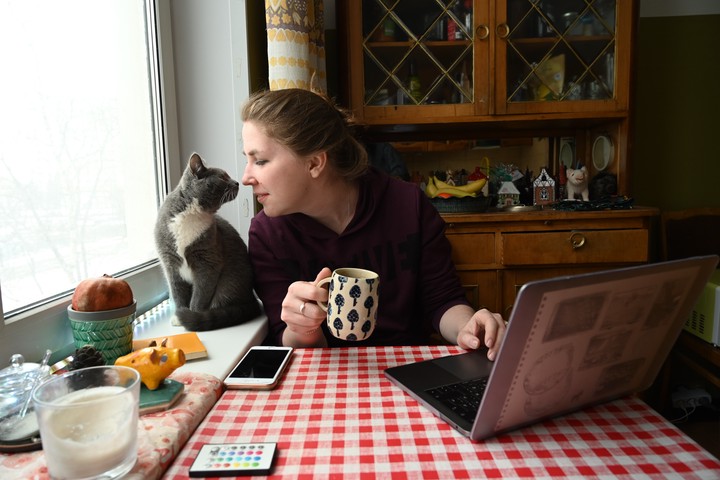 Кошка без симптомов болезни может быть носителем инфекции