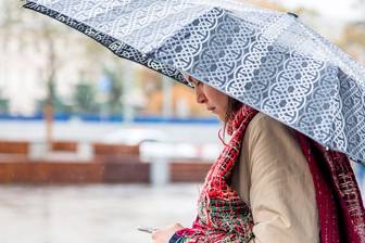 Праздники 20 декабря 2025 года