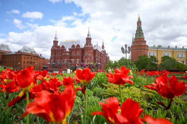 Что мы празднуем 12 июня