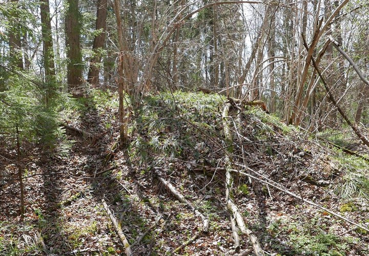 Древние курганы вятичей нашли археологи в ТиНАО
