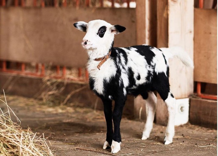 Деревни стали местом отдыха и образования