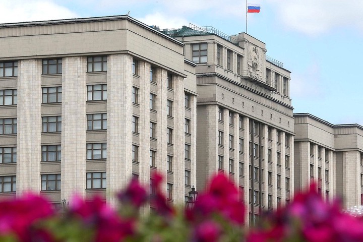 Комиссия Госдумы выявила случаи распространения фейков по голосованию по Конституции