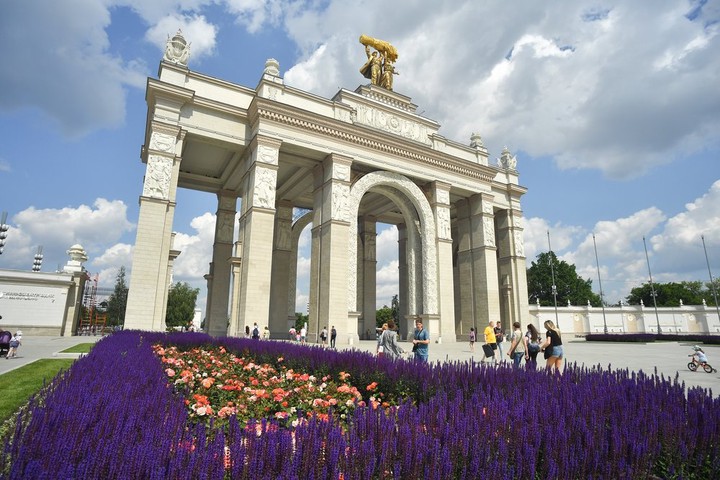 Бесплатно для москвичей