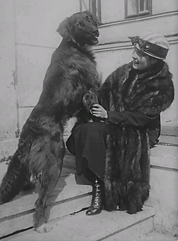 Лиля Брик и Щеник, 1920 год