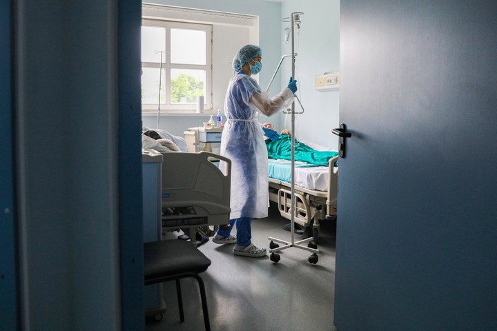 Ученый оценил влияние коронавируса на иммунную систему