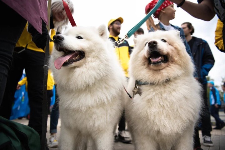 Игры для настоящих героев