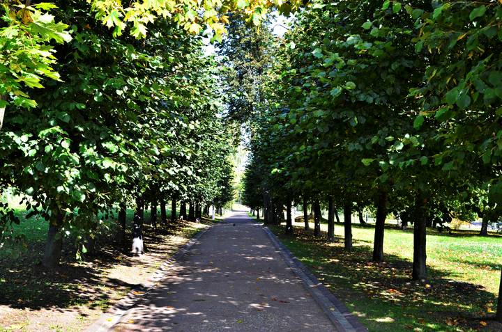 Жареное солнце: как городу выжить в экстремально знойное лето