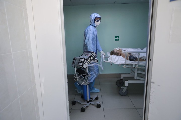 Чага против коронавируса: спасет ли березовый гриб в пандемию