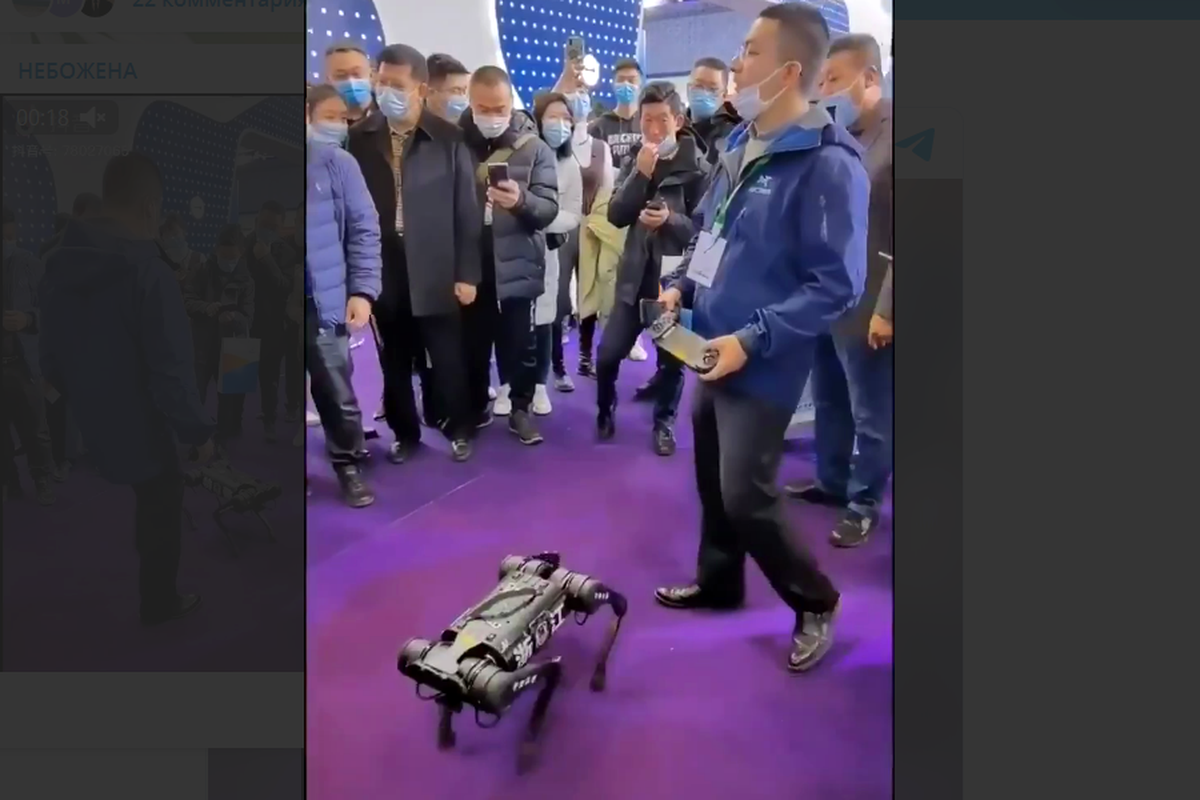 Бьют дайте сдачи. Пинают робота. Человек пинает робота. Выставка НАТО хроника жестокости. Робот пинает человека видео анимация.
