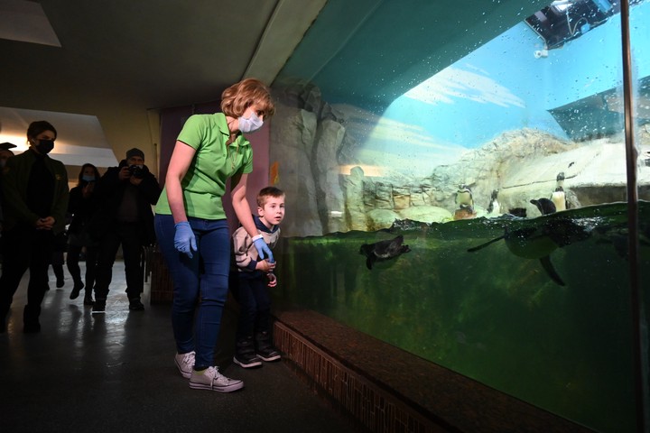 Экскурсию для мальчика Паши организовали в Московском зоопарке в рамках акции «Елка желаний»