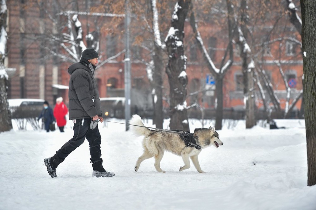 Сколько мороз улица. Январские Морозы накроют Россию. В пике в Подмосковье до -30 градусов.