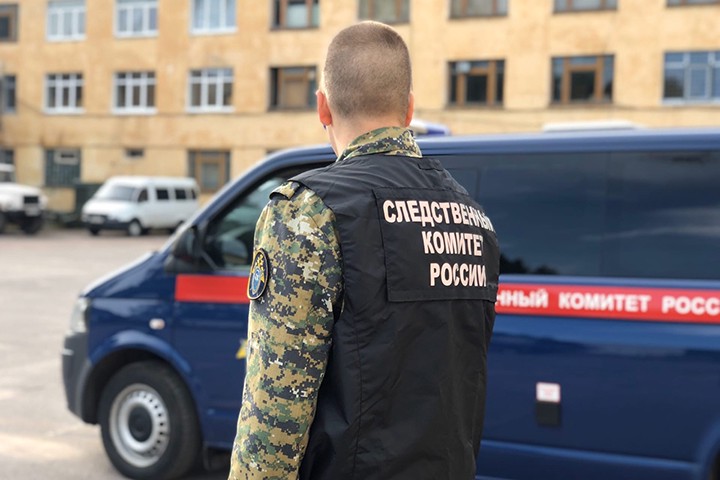 СК возбудил проверку по факту нападения бойцовых собак на женщину с ребенком в ТиНАО