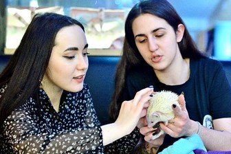 Как приспособить зоокафе к существованию в современном мире