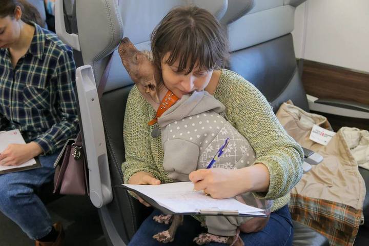 «Тотальный диктант» впервые прошел во всех видах транспорта Москвы