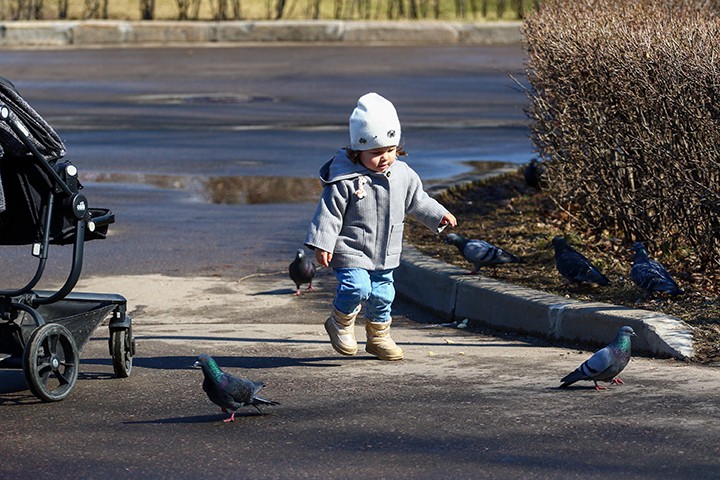 «Разрушение снежного покрова»: москвичам рассказали, когда в город придет весна