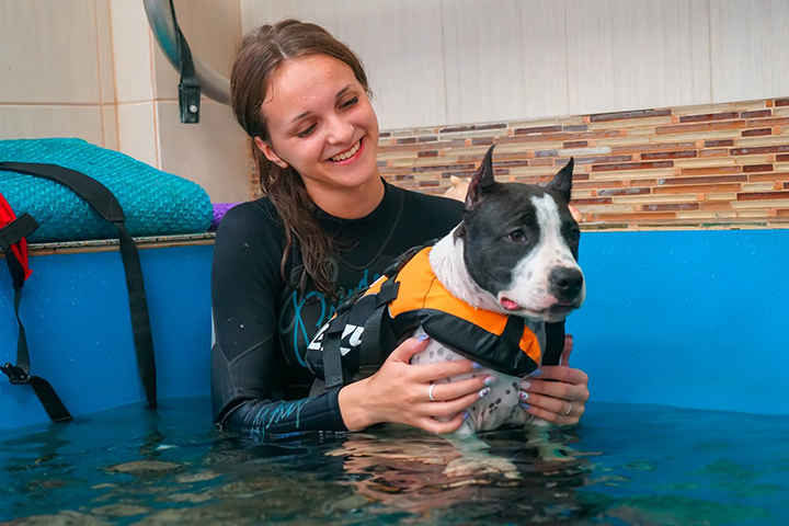 «Все как у людей»: как работают фитнес-центры для животных в Москве