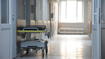 Все роддома Кузбасса проверят после гибели младенцев в Новокузнецке