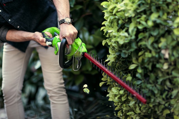 Что предстоит сделать в саду в мае