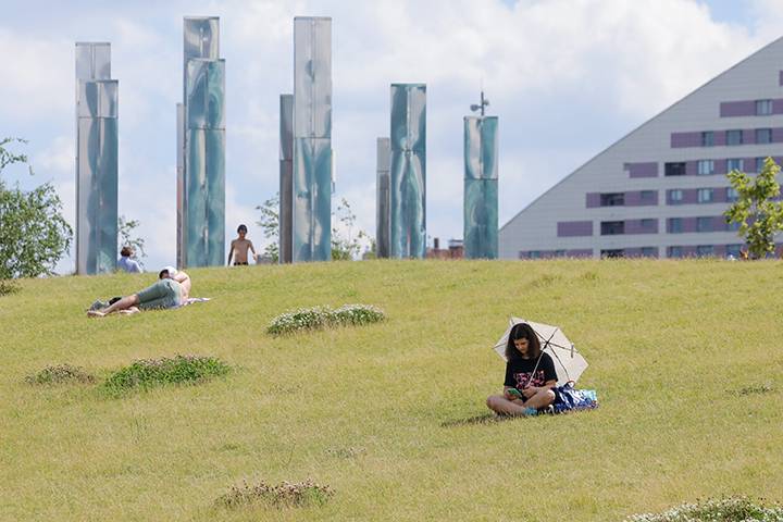 Осень — красота зрелости