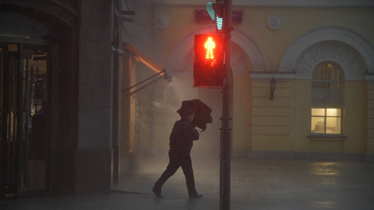 Синоптик Леус предупредил о ливнях и грозе в Москве во вторник