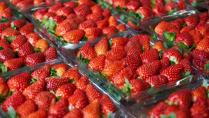 Спектакль длиной в 14 минут