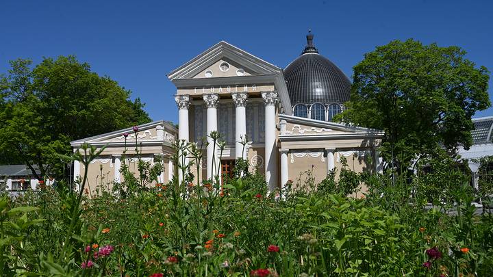 Театральные фестивали и «Конные традиции России»: пять причин выйти из дома в выходные