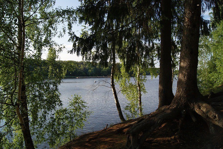 Четыреста человек приняли участие в заплывах на открытой воде «Кубок чемпионов Истра»