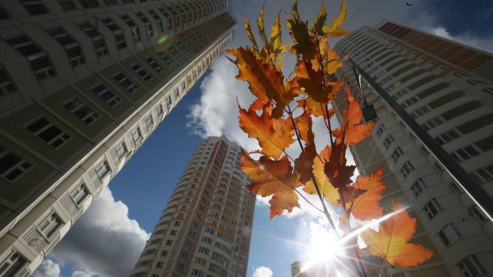 Владимир Жидкин: Молодые округа готовятся к первому юбилею