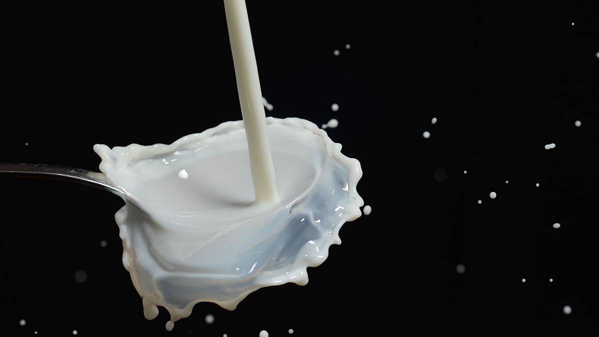 Лакмусовая бумажка и правильные сроки: как выбрать качественную молочную продукцию
