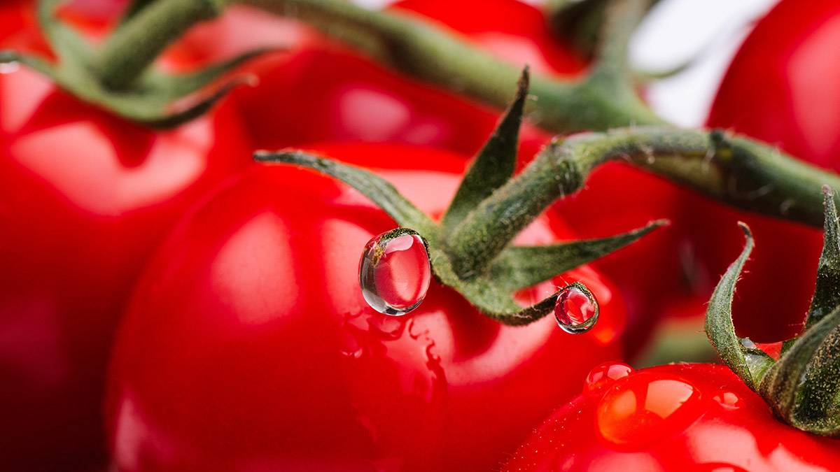 Гастроэнтеролог Кашух посоветовала с осторожностью есть помидоры и клубнику