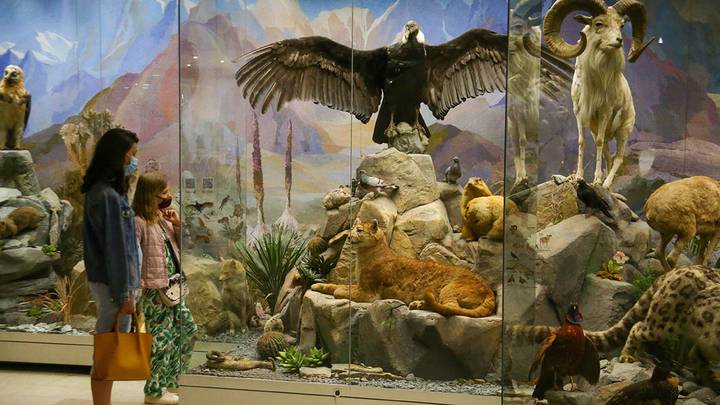 «Спасская башня», «Ночь кино» и «Автокультура»: пять причин выйти из дома в выходные